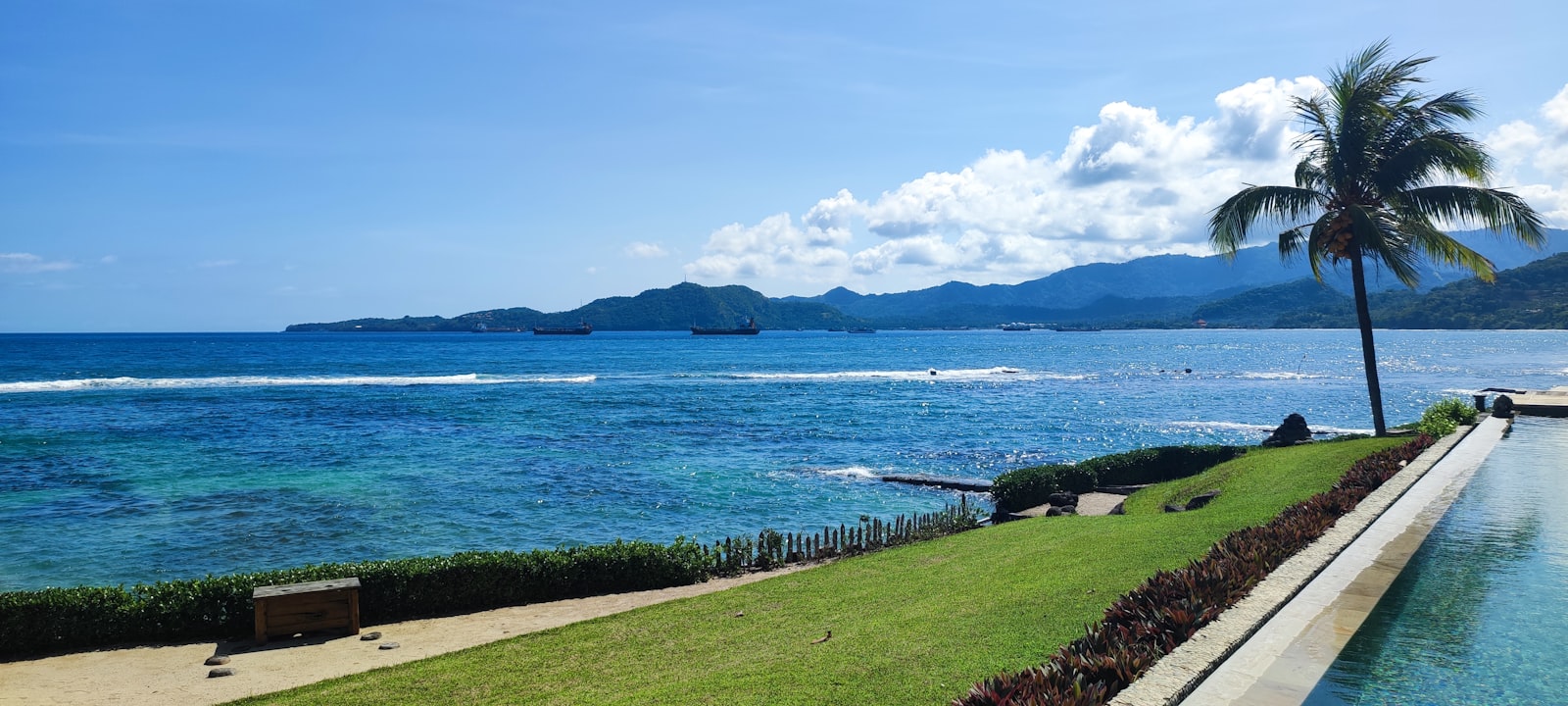 Tropical coastline with palm tree and infinity pool.