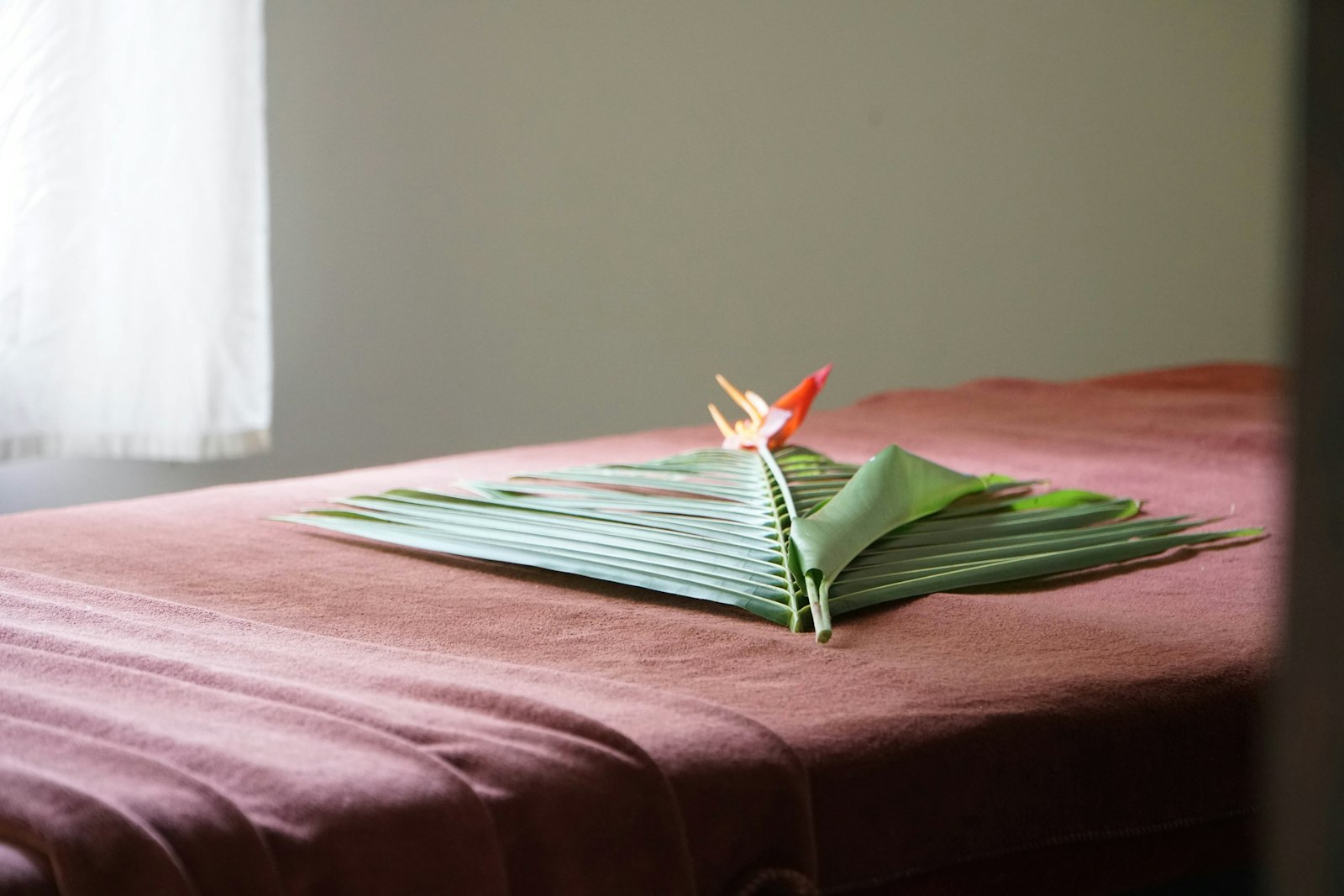 a flower on a bed