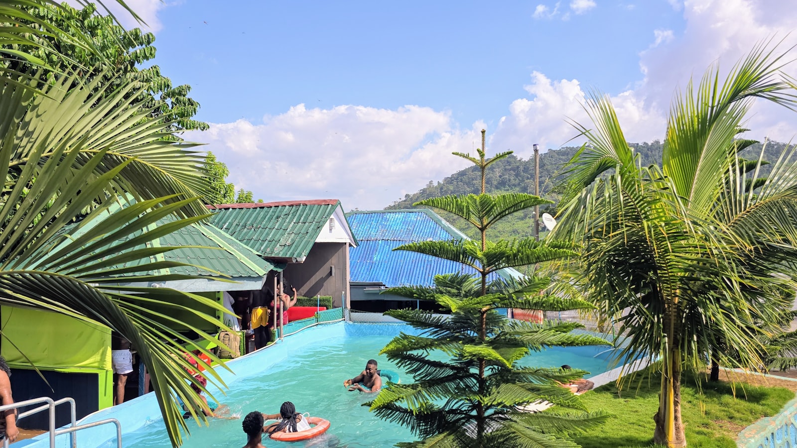 A group of people in a pool surrounded by palm trees