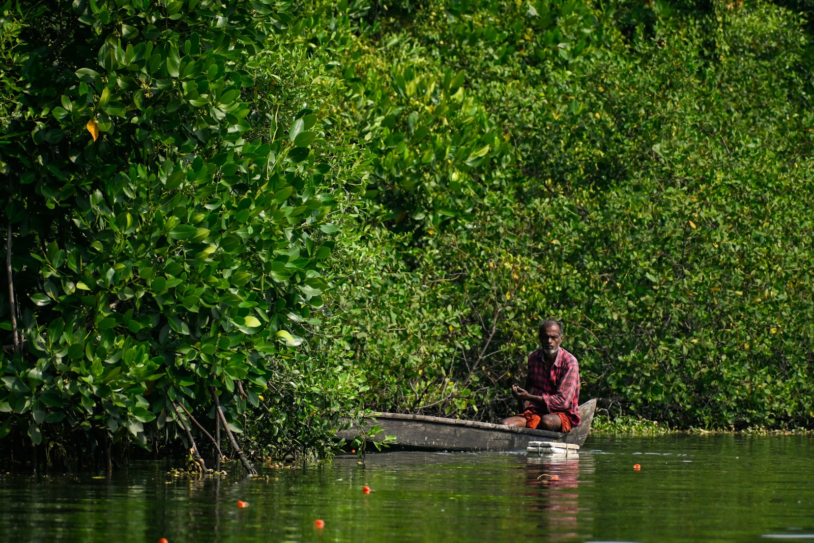 Man in a boat surrounded by lush green foliage