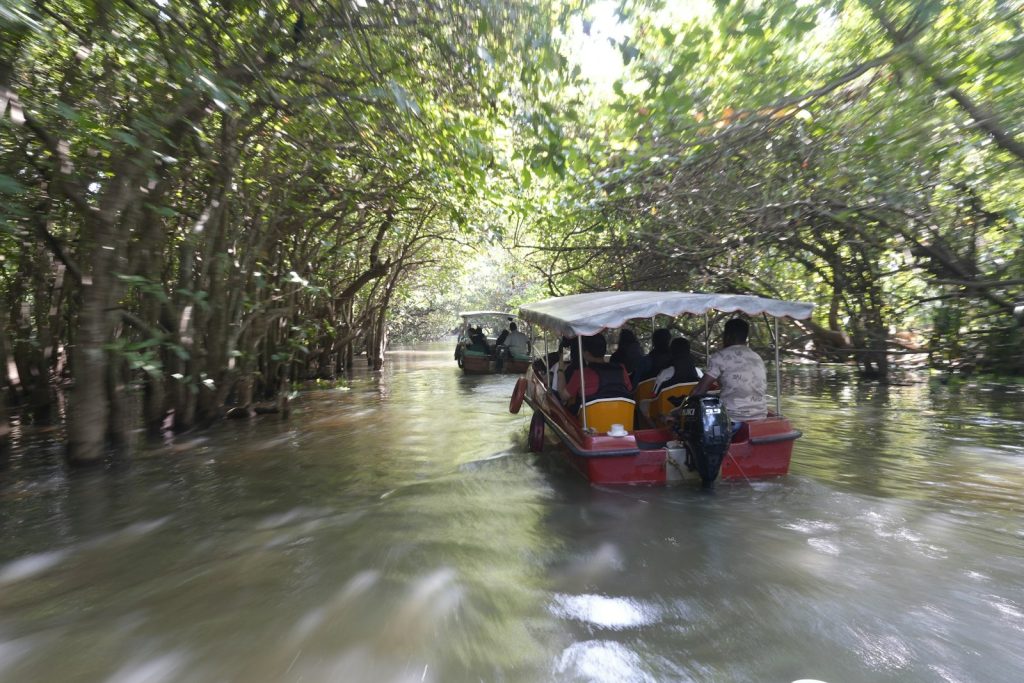 Tanah Merah to Bintan Ferry: Full Guide