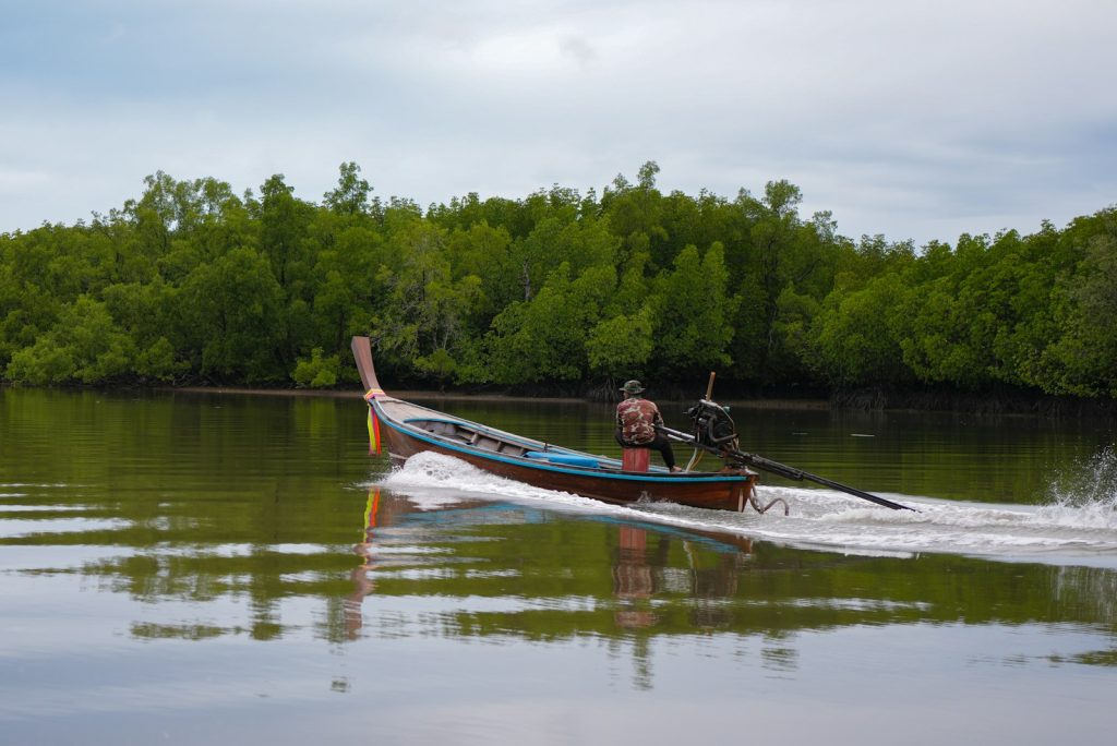 Bintan Mangrove Tours & Beach Activities